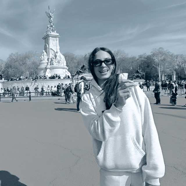 Duotone, blue and grey - AI prompt preview